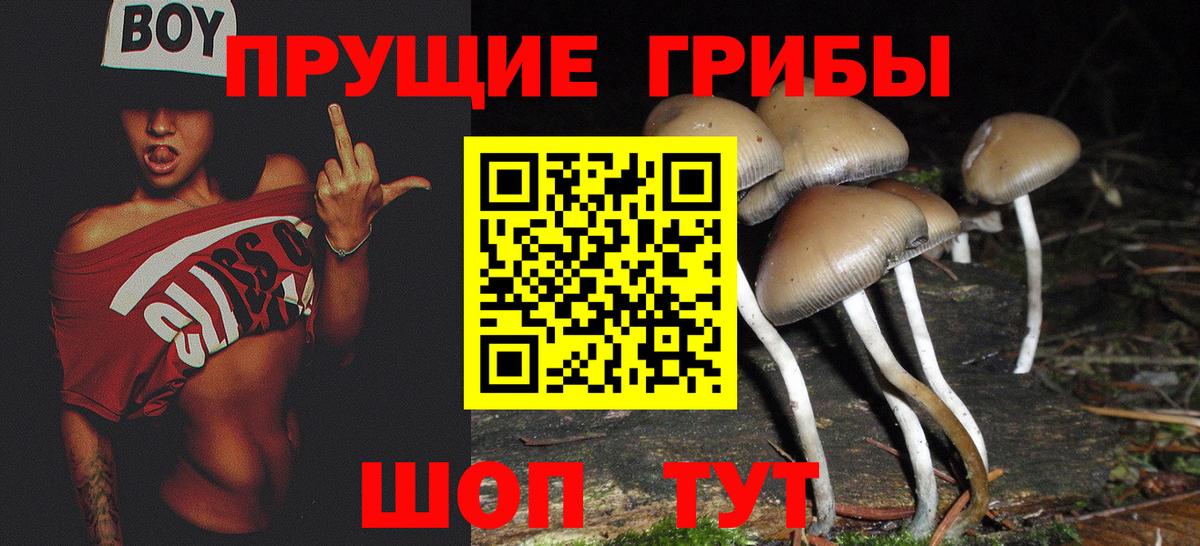 Галлюциногенные грибы прущие грибы Верхняя Пышма