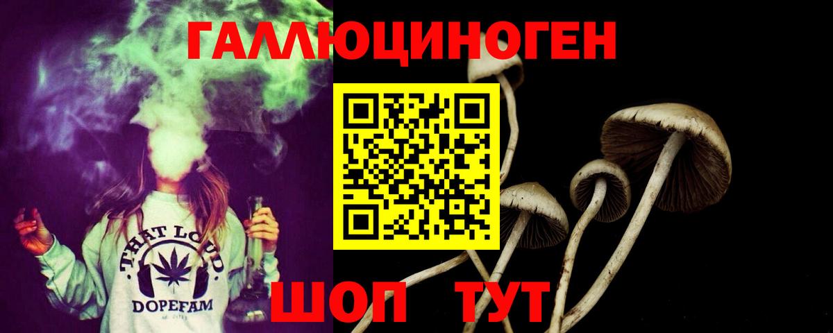 Псилоцибиновые грибы Psilocybe  Вход с VPN  Псилоцибиновые грибы ЛСД  Верхняя Пышма 